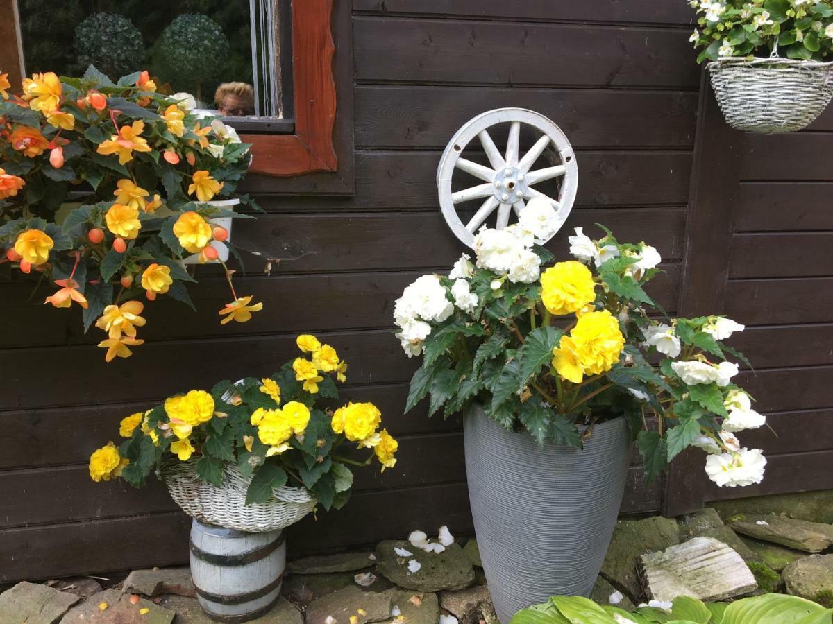 Ranczo Frodyma Bed & Breakfast สโตรเนีย ชล็องสเกีย ภายนอก รูปภาพ
