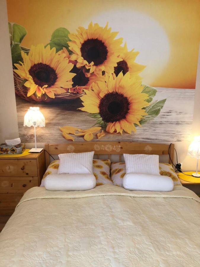 Ranczo Frodyma Bed & Breakfast สโตรเนีย ชล็องสเกีย ภายนอก รูปภาพ